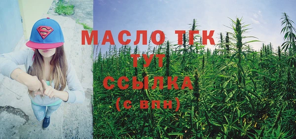 гашик Богородск