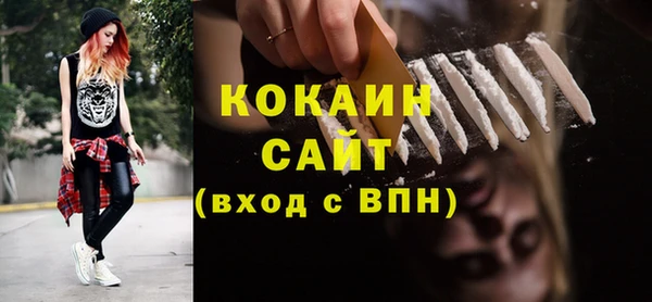молекула духа Богданович