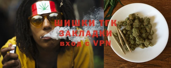 гашик Богородск