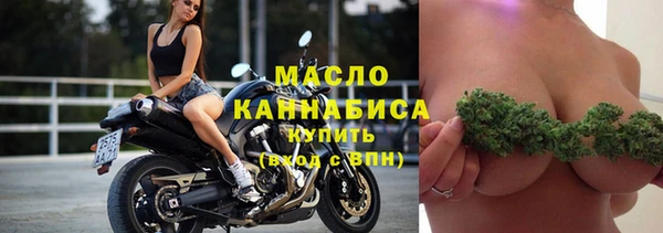 гашик Богородск