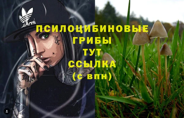 гашик Богородск