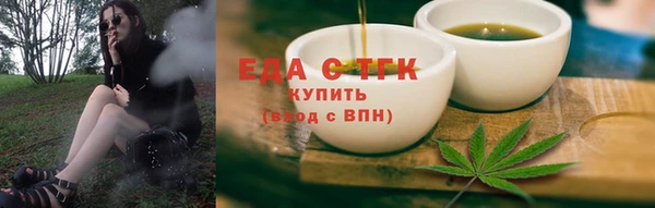 молекула духа Богданович