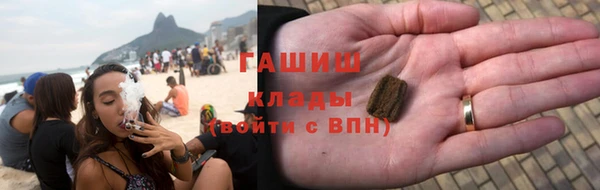 молекула духа Богданович