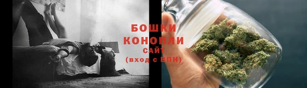 молекула духа Богданович