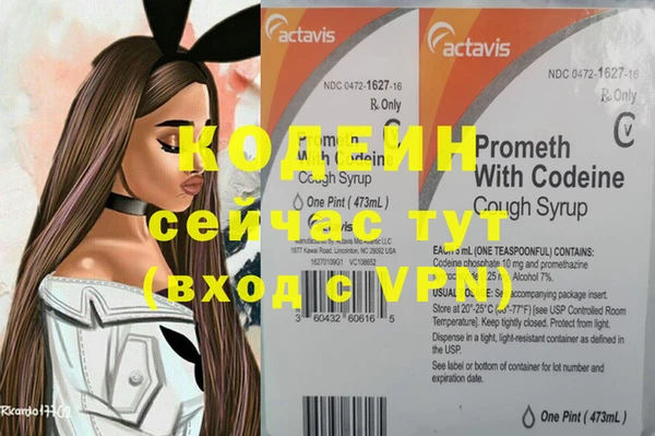 молекула духа Богданович
