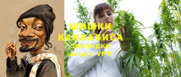 молекула духа Богданович