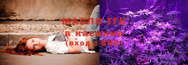 молекула духа Богданович