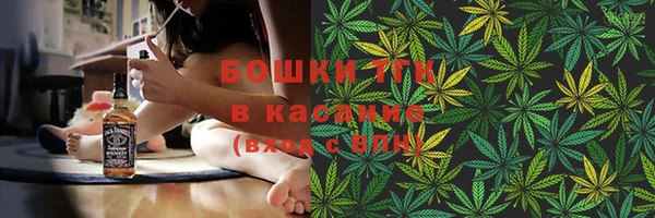 молекула духа Богданович