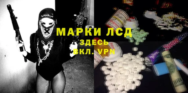 молекула духа Богданович