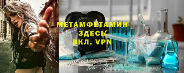 ГАЛЛЮЦИНОГЕННЫЕ ГРИБЫ Бородино