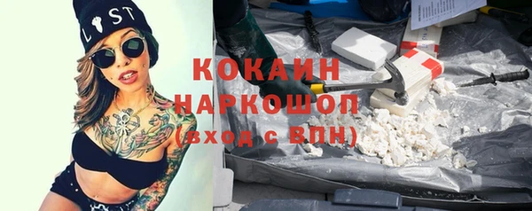молекула духа Богданович