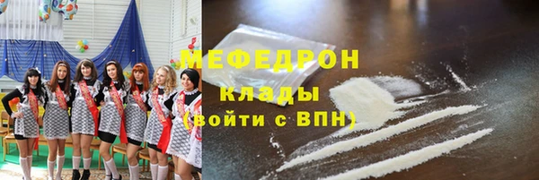 молекула духа Богданович